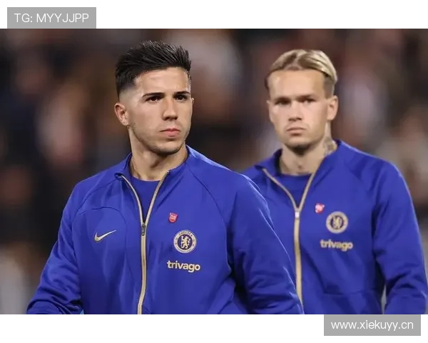 恩佐转会费是否溢价？市场价值与实际表现差距分析