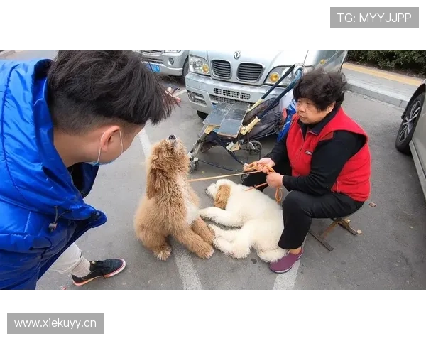 孙准浩家的狗吃的都比我一个月工资还贵