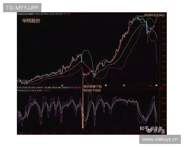 深度解析篮球比赛中的持球规则,帮你掌握核心要点 深度解析篮球比赛中的持球规则,帮你掌握核心要点